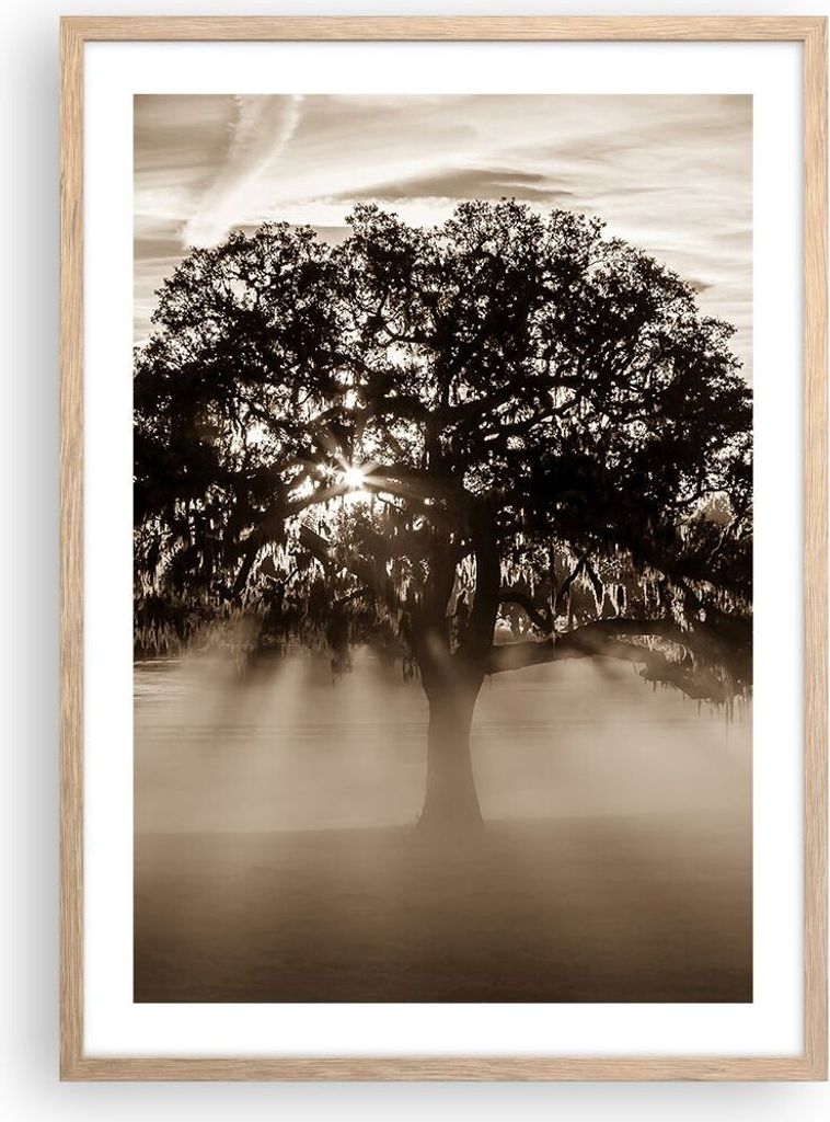 Gerahmtes Poster - Rahmen in heller Eiche - Baum Feld Natur - 50x70 cm - Wand Bild - Wanddeko - Wandbilder - Kunstposter - Wandposter - Bilderrahme...