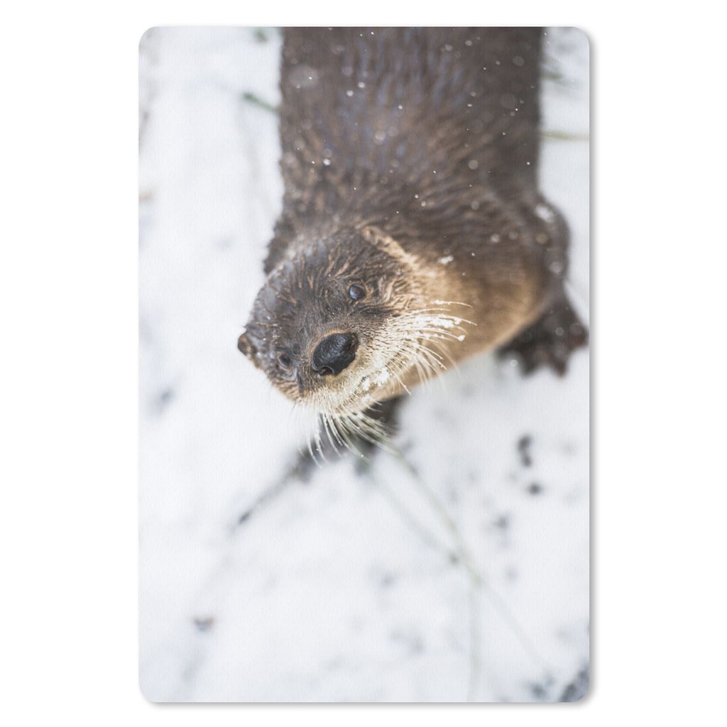 MuchoWow Mauspad Mousepad Otter - Schnee - Tier 18x27 cm - Mousepads - Maus Mat - Pad - Mausunterlage