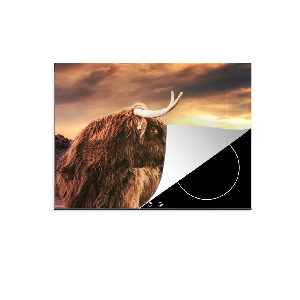 KitchenYeah Herdabdeckplatte Schottischer Hochländer - Sonne - Horizont - Kuh - Tiere , 59x52cm, Küche Deko, Glaskeramikkochfeld Herdabdeckung,...