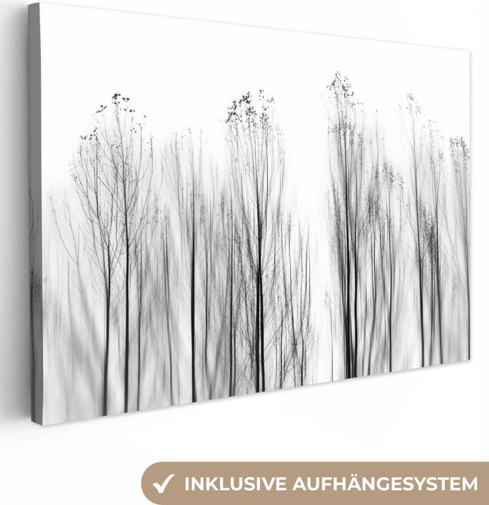 OneMillionCanvasses - Leinwandbilder - 140x90 cm, Bäume - Schwarz und weiß - Vögel - Natur, Wandbilder Kunstdruck Wanddekoration - Foto auf Le...