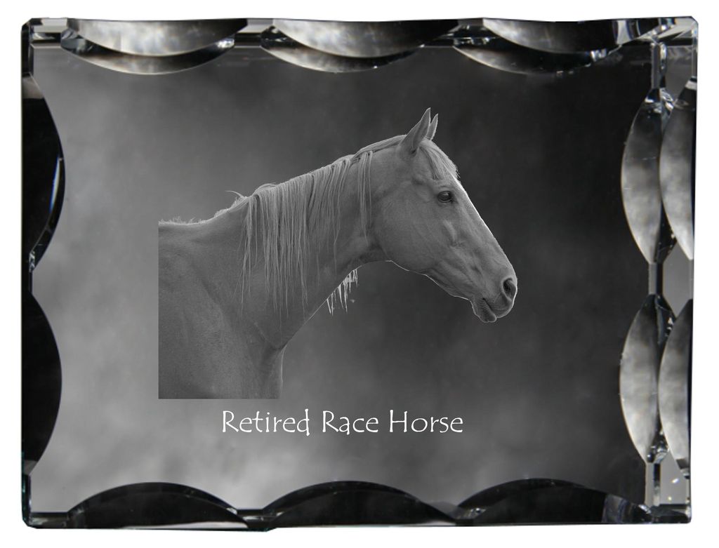 Rennpferd im Ruhestand - crystal with a picture of a horse, glass statuette with a picture, unique frame with a picture from Art-Dog brand