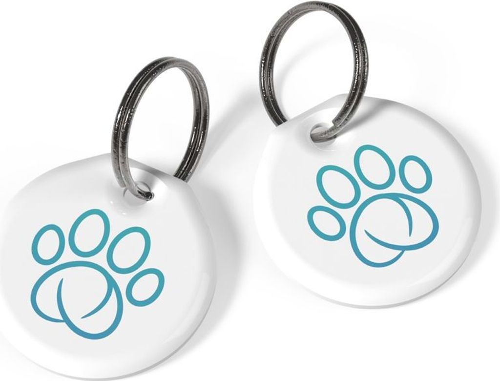 SureFlap ensemble de porte-clés RFID ø 2,5 cm Immagine del prodotto 