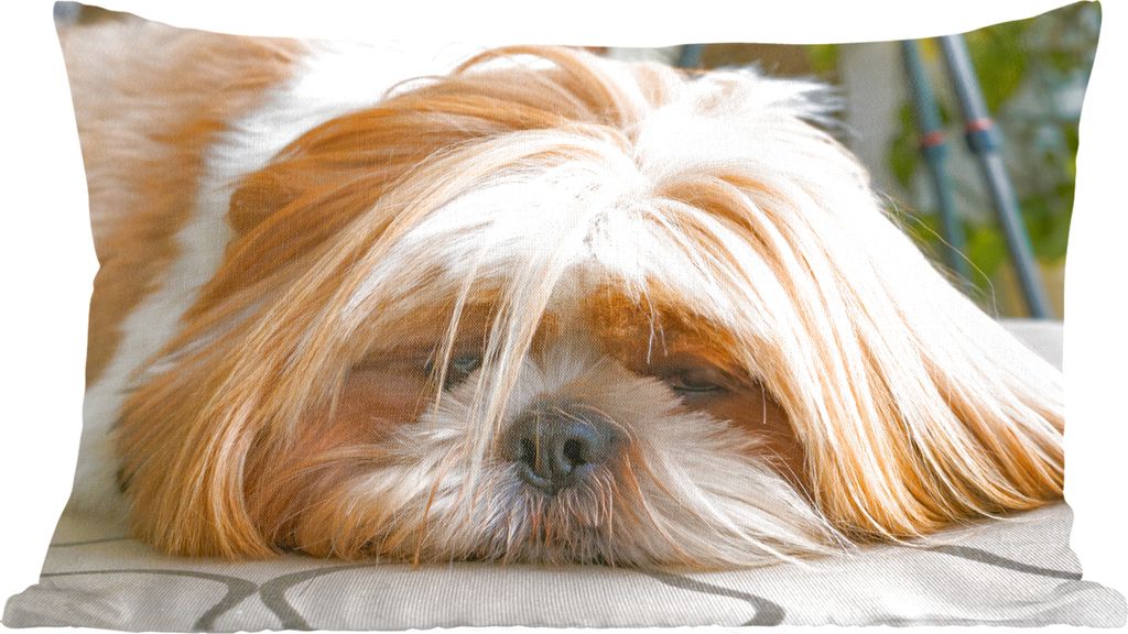 MuchoWow Zierkissen Sofakissen Wohnzimmer Dekokissen 60x40 cm Ein Shih Tzu Hund liegt schlafend auf dem Boden - Kopfkissen - Polster mit Foto