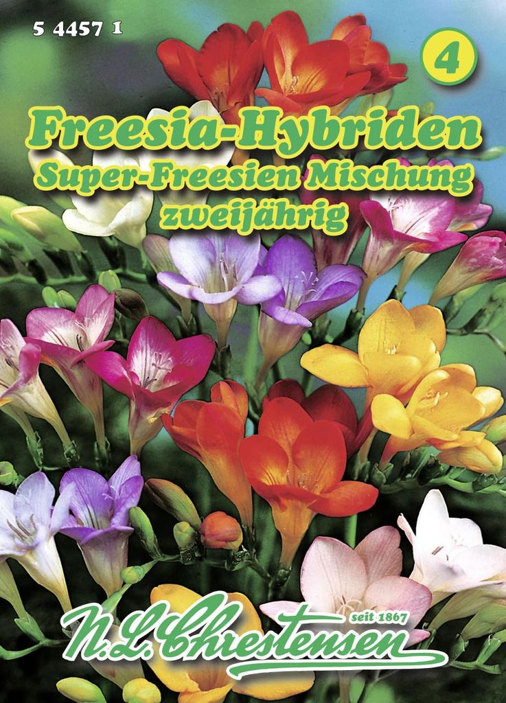 Artikelbild 1 von 'Freesie Super Mischung' aus der Kategorie Blumensamenmischung