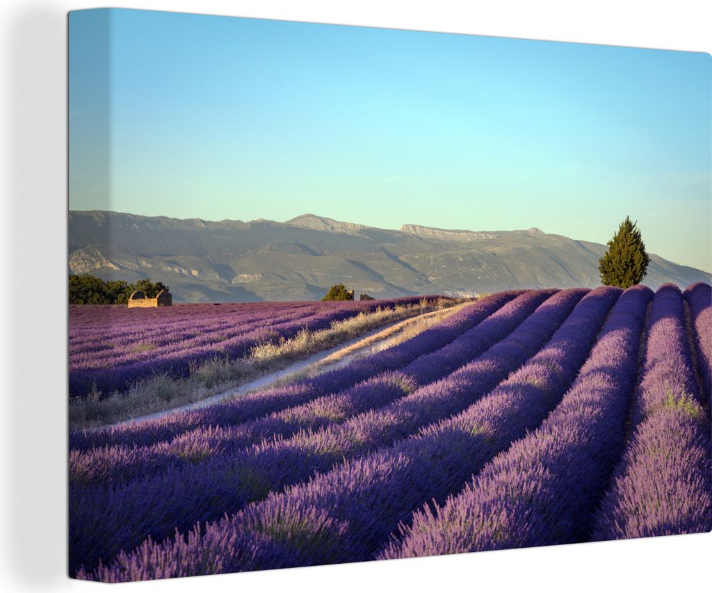 OneMillionCanvasses - Leinwandbilder - 140x90 cm, Lavendelfeld in der Provence, Wandbilder Kunstdruck Wanddekoration