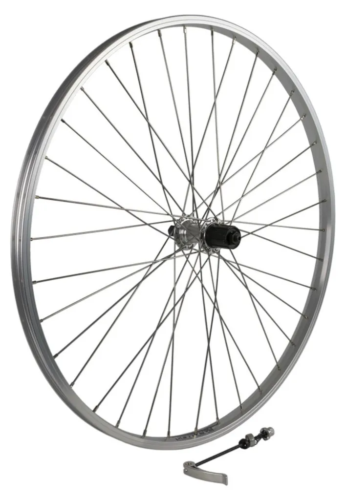 Roue Arrière pour Vélo Hollandais 28x1 3/8 Rodi - Réparation Facile