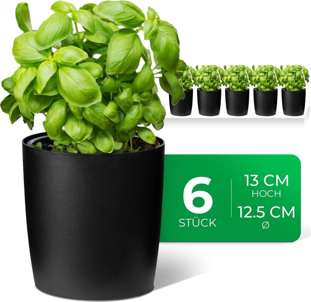 Novaliv Stilvolle 6er Set Kräutertopf aus Kunststoff Schwarz für jede Fensterbank, frische Küchenkräuter, Kräutergarten für die küche, Kräu...