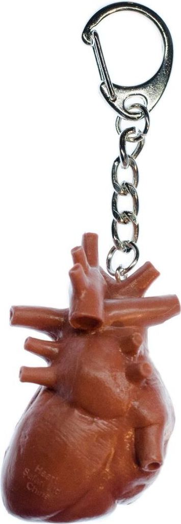 Herz Schlüsselanhänger Miniblings Anhänger Schlüsselring Organ Mensch Anatomie