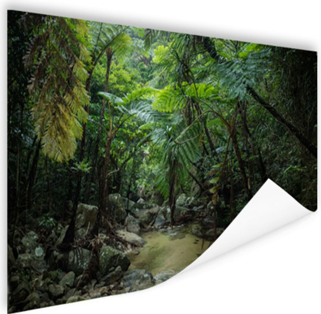 MuchoWow Poster Fluss im tropischen Dschungel 180x120 cm - Fotoplakat