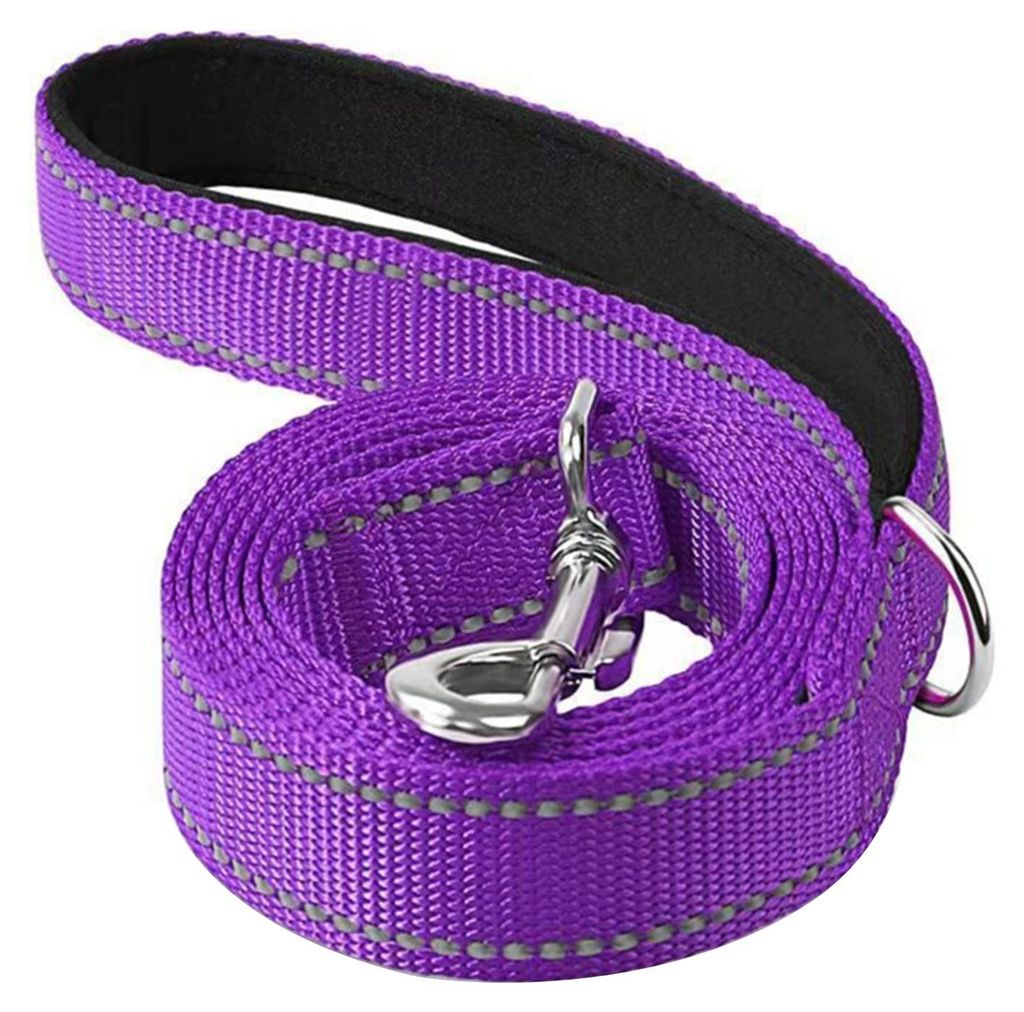 Robuste Hundeleine für große und mittelgroße Hunde, reflektierende Nylonleine mit weich gepolstertem Griff für Spaziergänge und Training