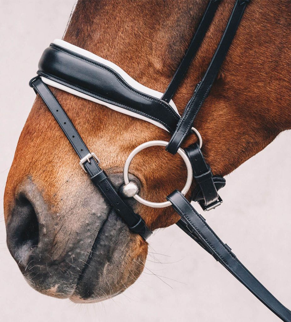 Schockemöhle Sport Anatomical Snaffle Stanford Snaffle Obrázek produktu 6