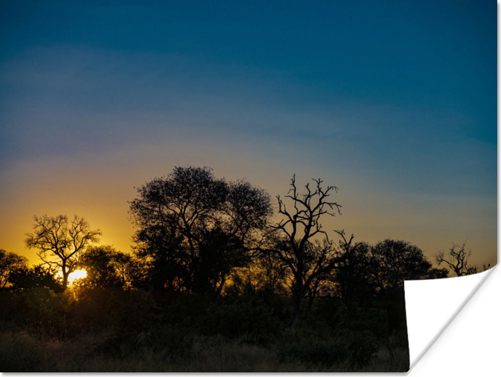 MuchoWow Poster Silhouette von Bäumen bei Sonnenuntergang im Kruger Park in Südafrika 160x120 cm - Foto Plakat