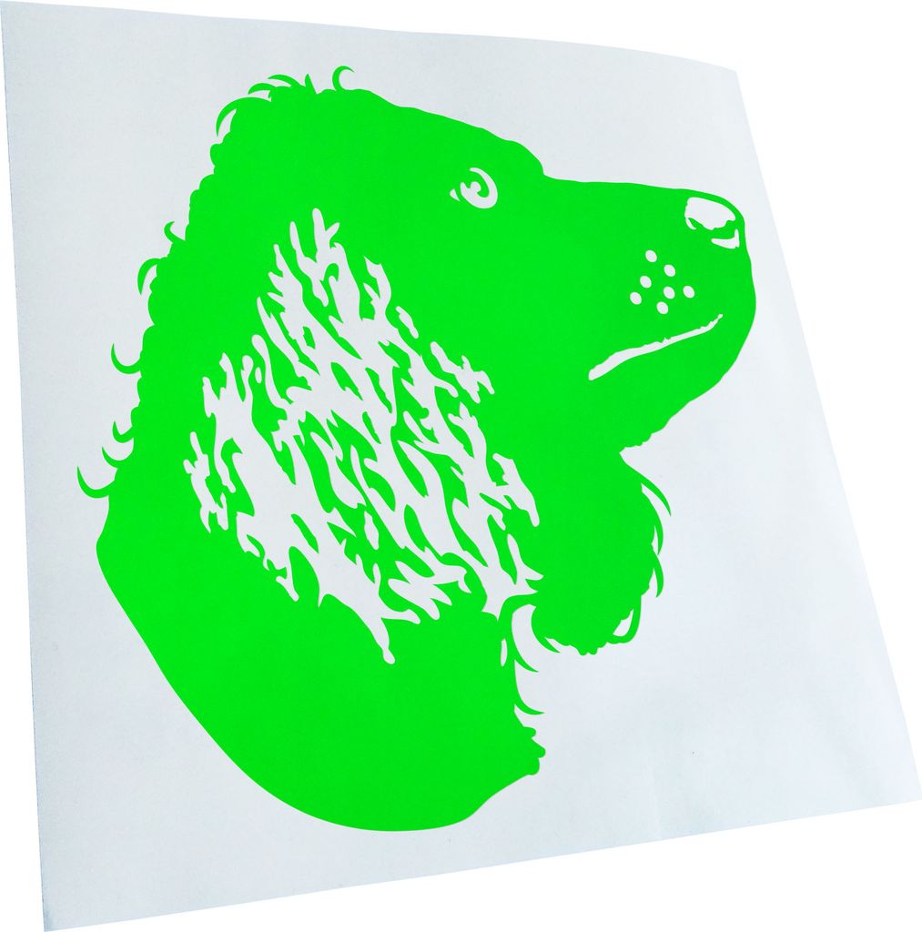Kiwistar - Autoaufkleber - American Water Spaniel - Lindgrün - 10x10cm - Aufkleber für Auto, Laptop, Fahrrad, LKW, Motorrad mehrfarbig JDM Decal ...