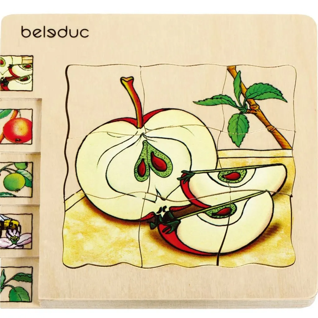 Jeu Éducatif Cycle de la Pomme - Puzzle pour Écoles et Maternelles