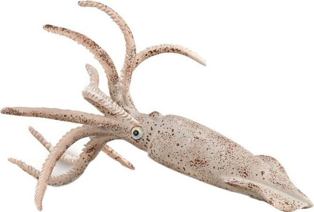 Collecta Belemnitenfigur Mehrfarbig 3-6 Years Mehrfarbig Produktbild 