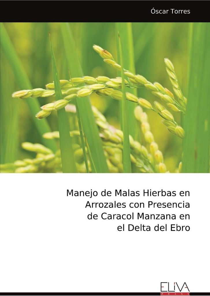 Manejo de Malas Hierbas en Arrozales con Presencia de Caracol Manzana en el Delta del Ebro