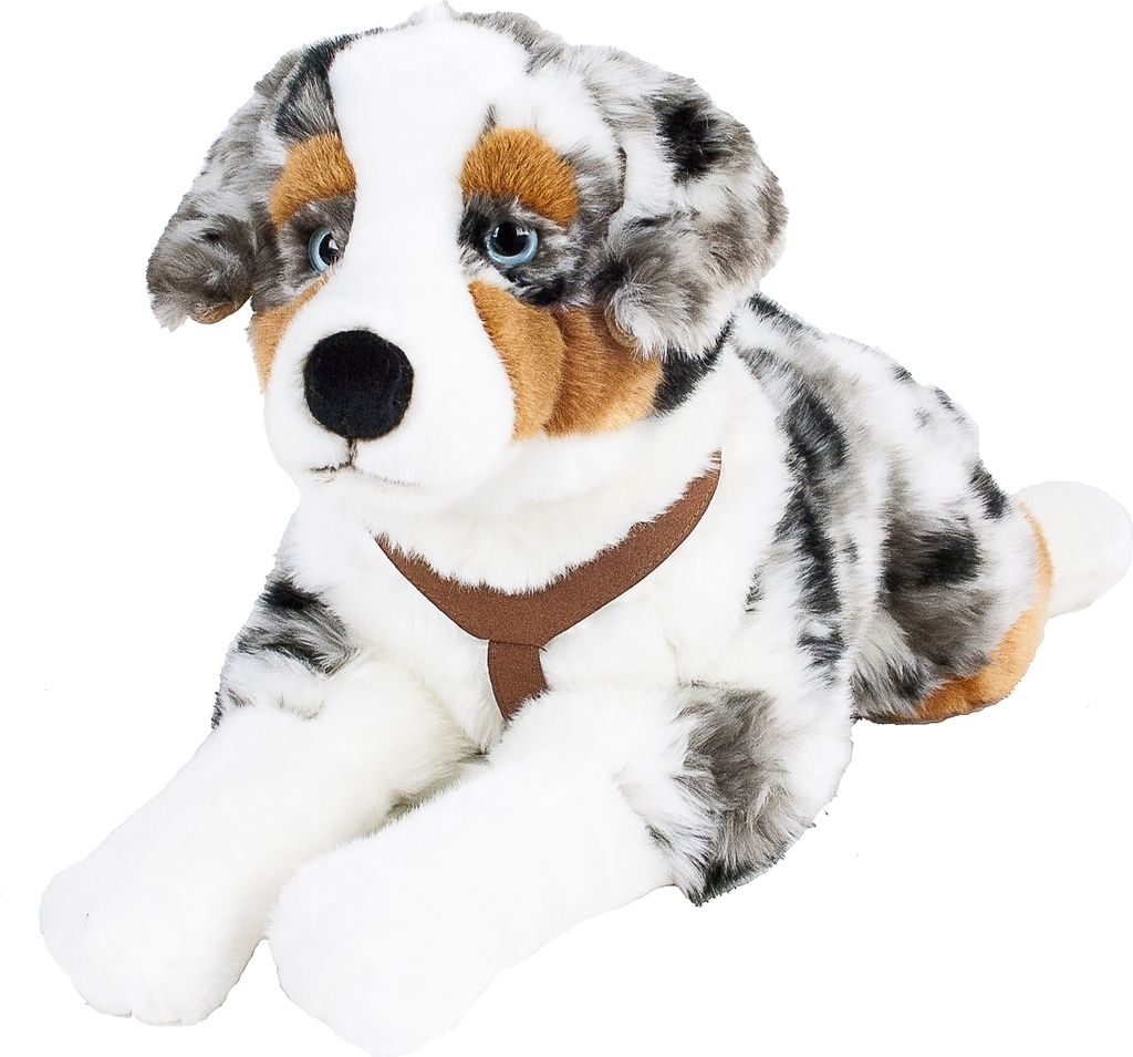 Australian Shepherd liegend 60 cm Kuscheltier Hund