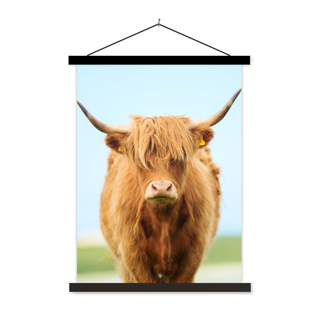 MuchoWow Textilposter Schottischer Highlander - Haare - Gras 90x120 cm mit schwarzem Rahmen - Dekoration
