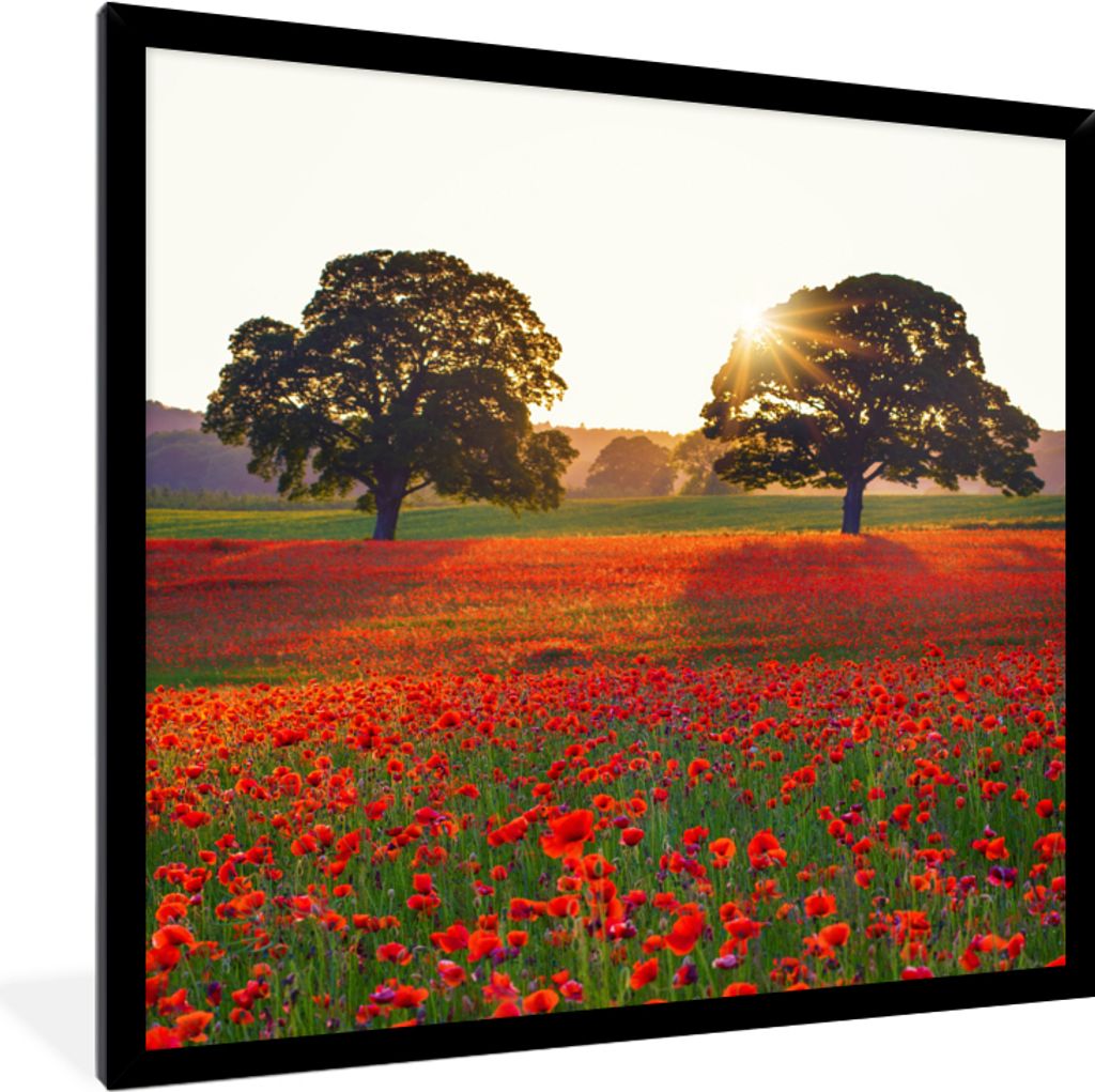 MuchoWow Gerahmtes Poster Ein Mohnfeld mit zwei großen Bäumen 40x40 cm - Poster mit Schwarzem Bilderrahmen Wandposter Rahmen Foto Bilder - Mit ...