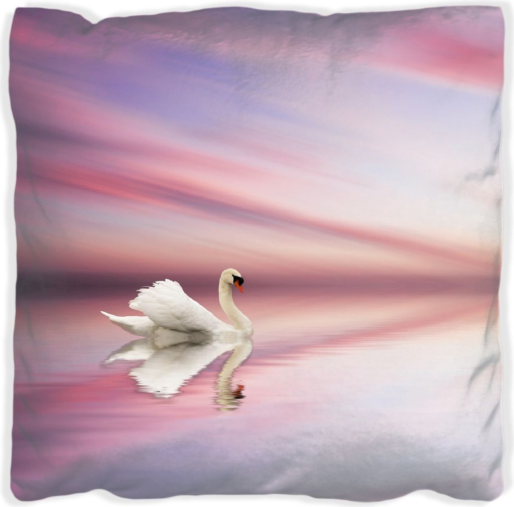 Wallario Premium Kissen, weiche Oberfläche, mit Motiv Weißer Schwan im rosafarbenen See, Größe: 30 x 30 cm, mit weißer Rückseite