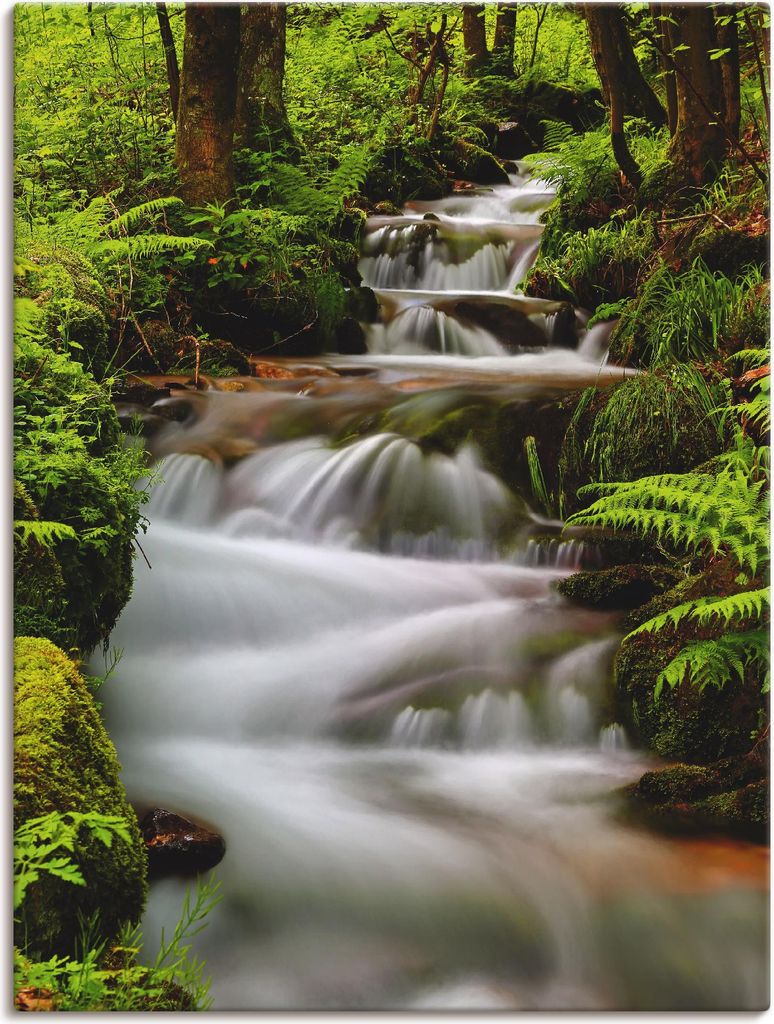 ARTland Leinwandbild Schwarzwaldbach Größe: 60x80 cm