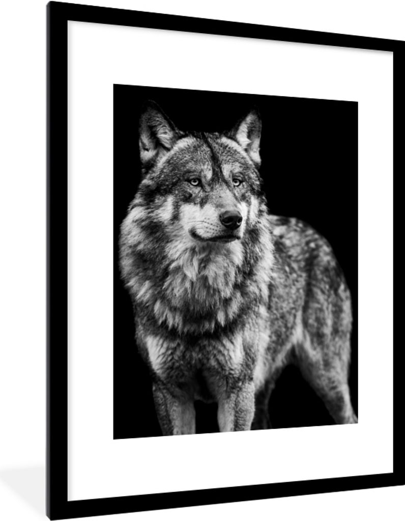 MuchoWow Gerahmtes Poster Wolf - Tiere - Wild - Schwarz - Weiß 60x80 cm - Poster mit Schwarzem Bilderrahmen Wandposter Rahmen Foto Bilder - Wohn...