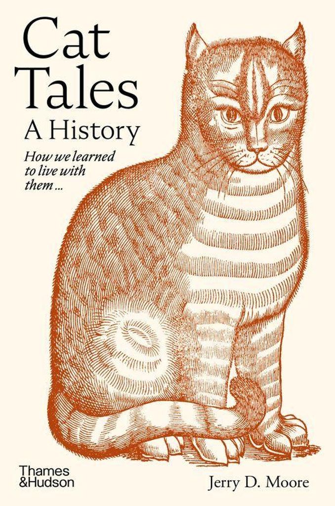 Cat Tales Zdjęcie produktu 