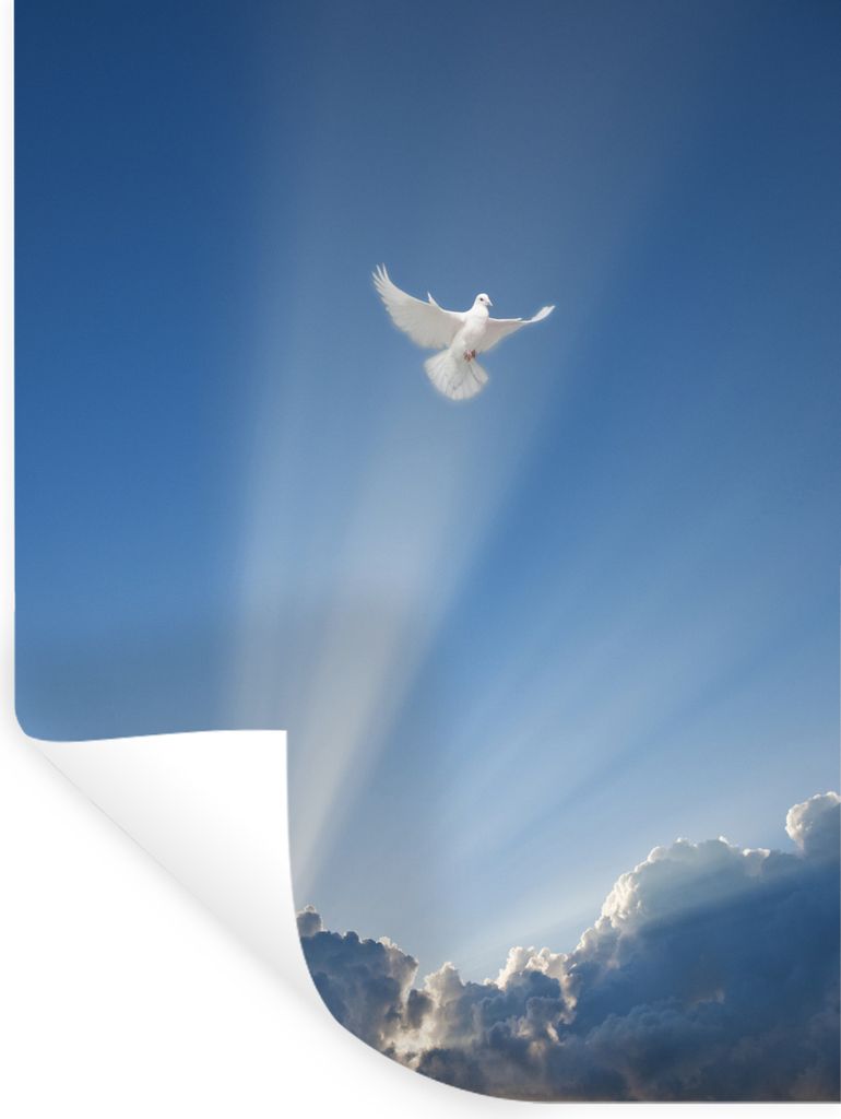 MuchoWow - Wierderverwendbar - Selbstklebend