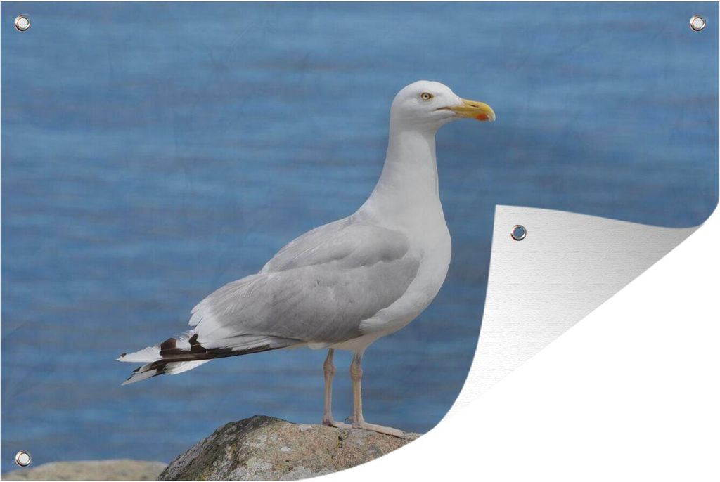 MuchoWow 90x60 cm Outdoor-Poster Gartendeko Sichtschutz Garten Poster für den Garten Eine Heringsmöwe mit dem Meer im Hintergrund