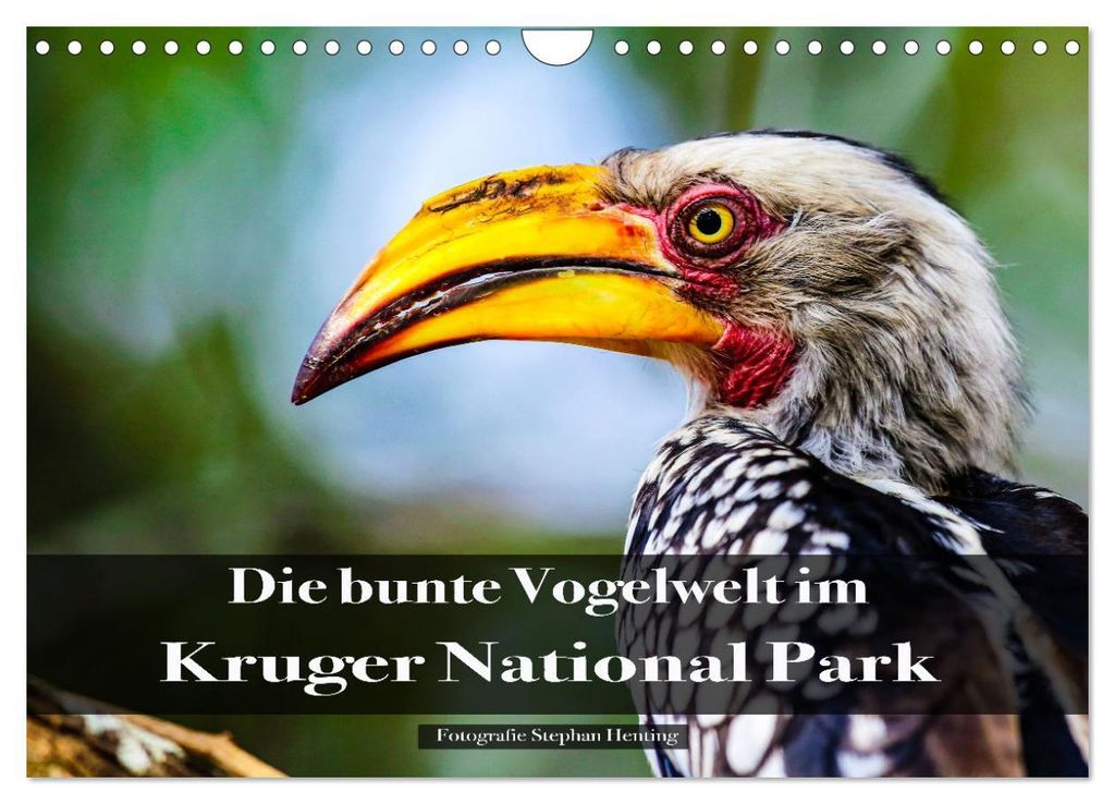Die bunte Vogelwelt im Kruger National Park (Wandkalender 2027 DIN A4 quer), CALVENDO Monatskalender
