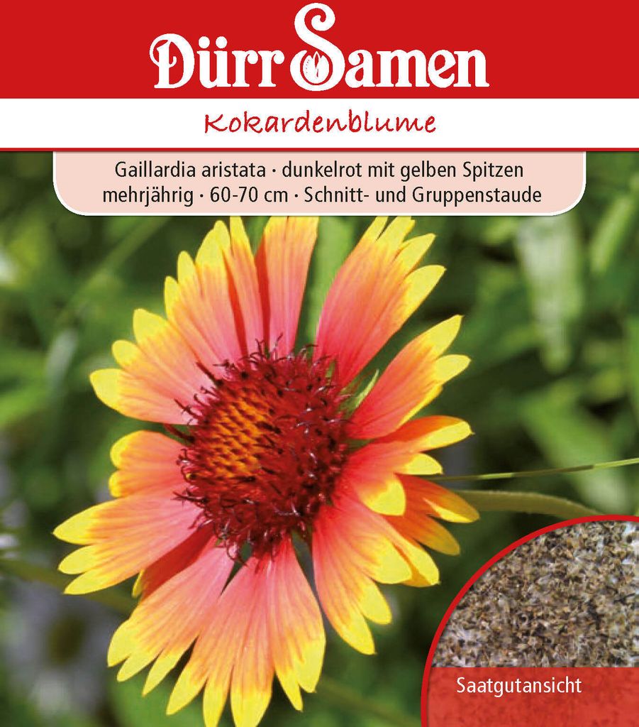 Kokardenblume | Kokardenblumensamen von Dürr Samen Produktbild 