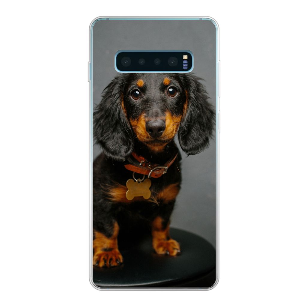 MuchoWow Handyhülle Schutzhülle Hülle für Samsung Galaxy S10 Lite Studiofoto eines Dackelwelpen Silikon Softcase Handy Hülle - Schutz