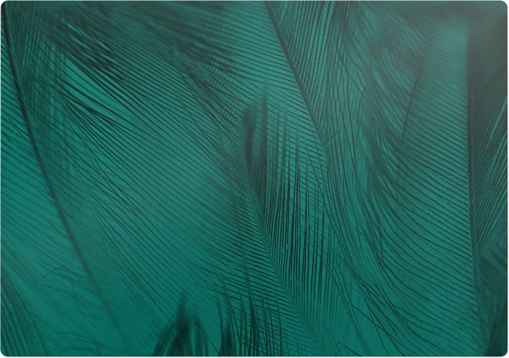 Federn In Schattierungen – Bodenschutzmatte – Rutschfest – Schutzmatte für Büro – Vinylmatte – Stuhlunterlage – 100 x 100 cm