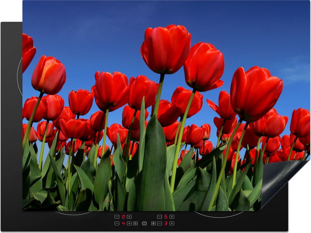 KitchenYeah Herdabdeckplatte Die Sonne scheint über die roten Tulpen , 70x52cm, Küche Deko, Glaskeramikfeld Herdabdeckung, Abdeckplatte fùr Ko...