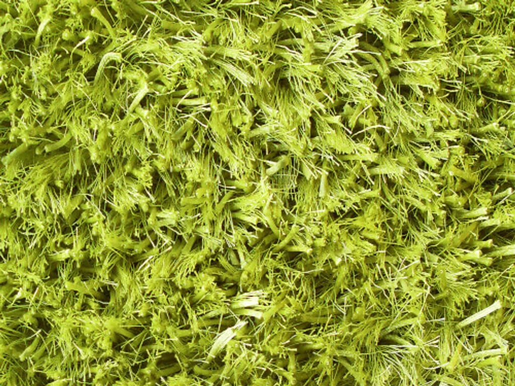 Descente de lit Shaggy Kota Kota 70x140 cm tapis doux et cosy