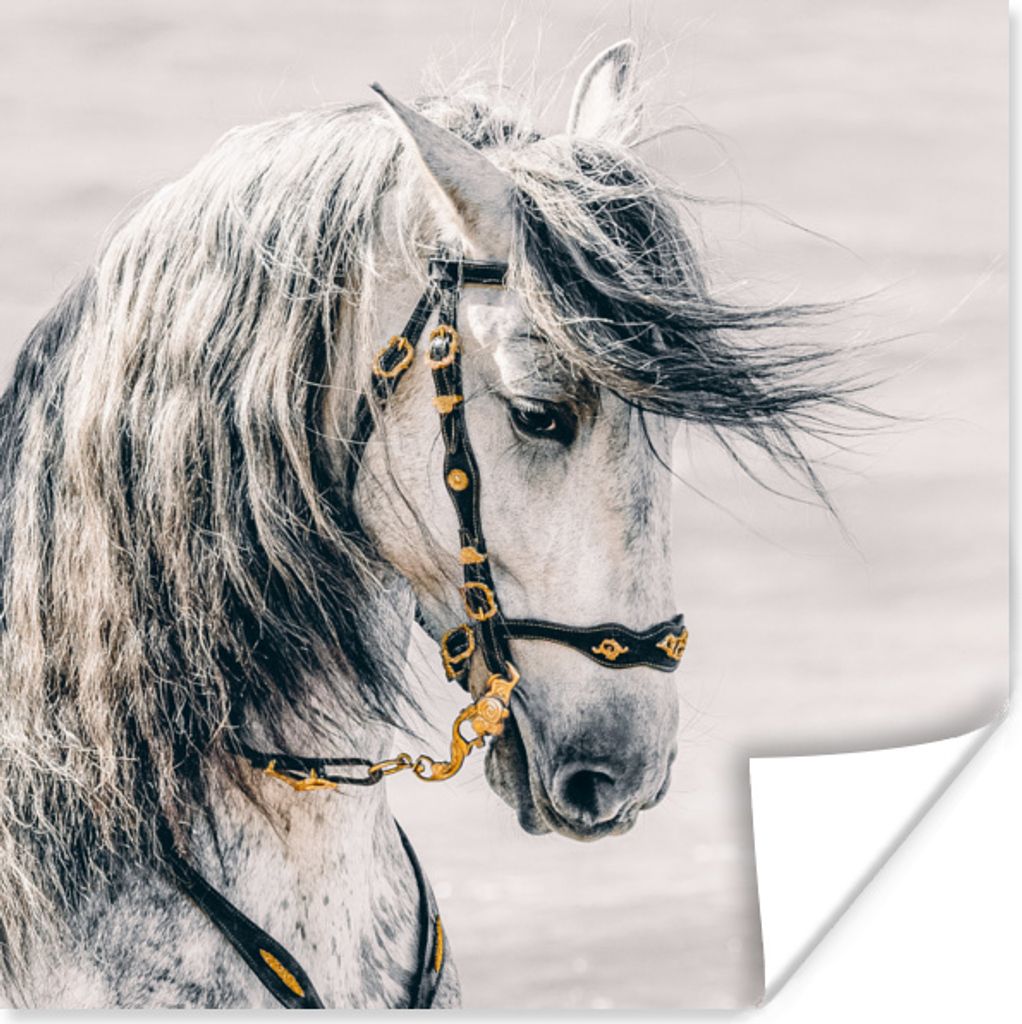 MuchoWow Poster Pferd - Weiß - Gold 100x100 cm - Babyzimmer