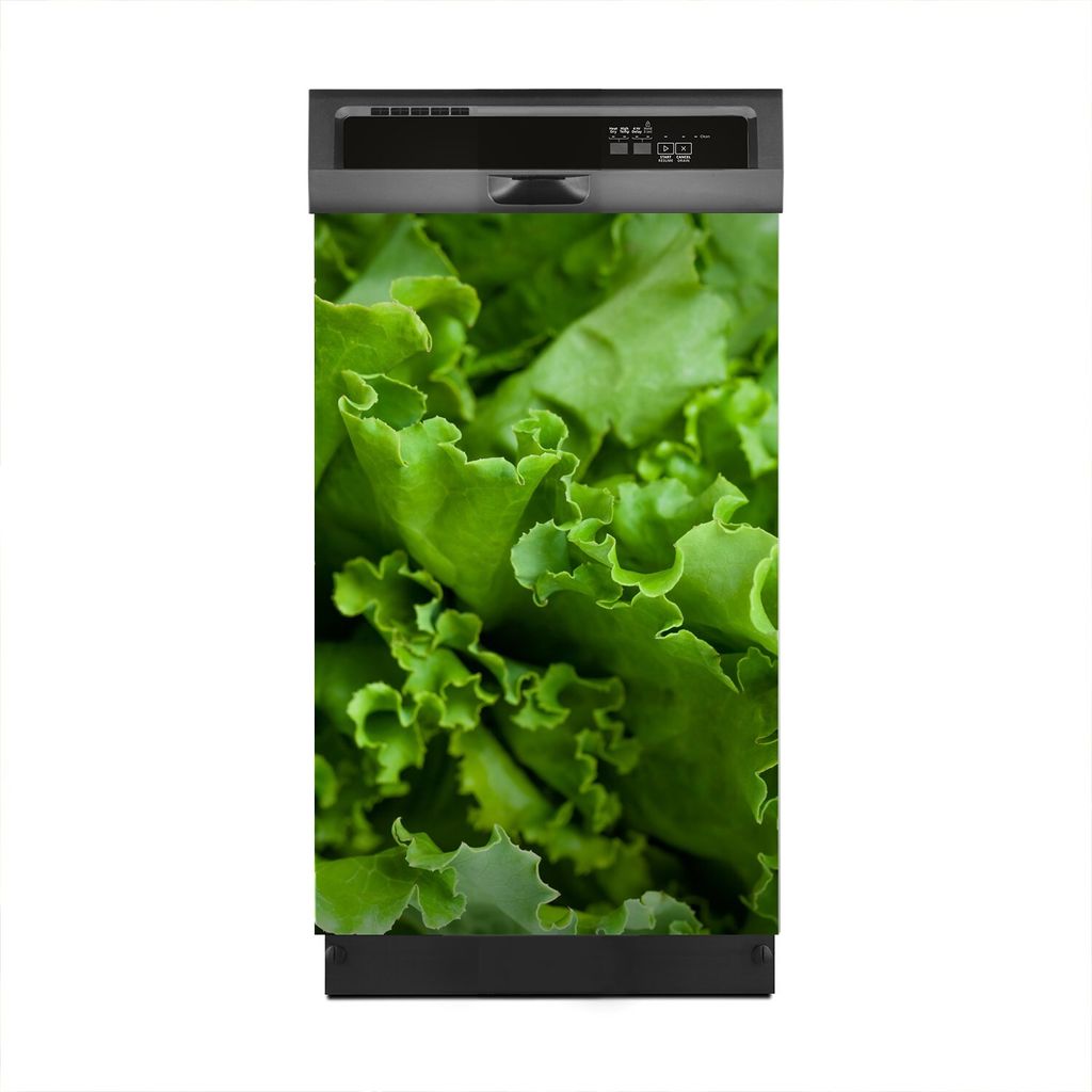 Magnete Dekorative 45x70 cm Küche Magnetmatte Spülmaschine - Kopfsalat grün Salat
