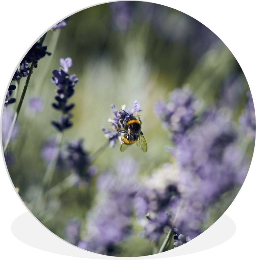 MuchoWow Rundes Wandbild - Runde Bilder Hummeln - Lavendel - Insekten Ø 90 cm Kreis Wanddekoration Kunststoff - Wandkreis - Wandschmuck - Wand-K...