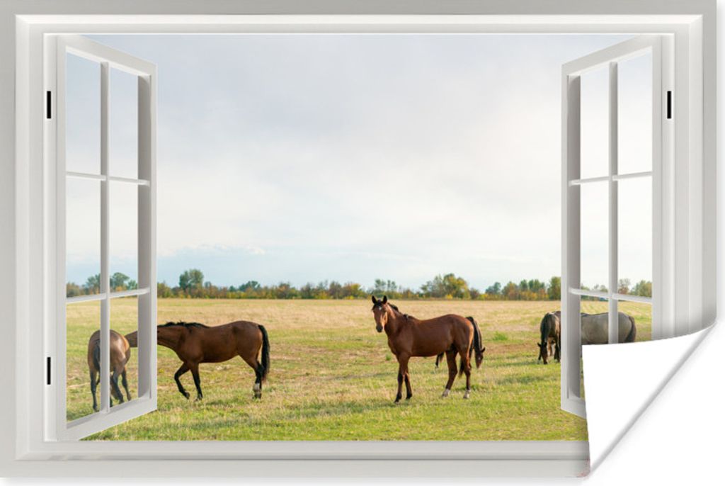 MuchoWow Poster Aussicht - Pferde - Gras 60x40 cm - Schlafzimmerdekoration