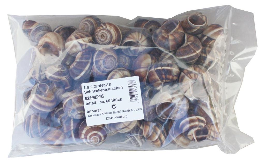 La Comtesse muszle ślimaków oczyszczone wysokiej jakości 60 Zdjęcie produktu 