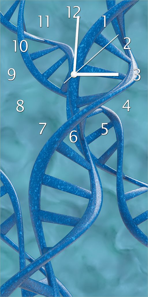 Wallario Design Wanduhr bedruckt, Größe 30 x 60 cm, Motiv: DNA-Strang in blau auf türkisem Hintergrund