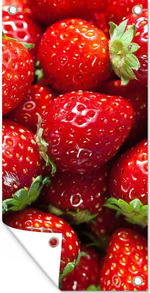 MuchoWow 40x80 cm Outdoor-Poster Gartendeko Sichtschutz Garten Poster für den Garten Erdbeere - Obst - Saatgut