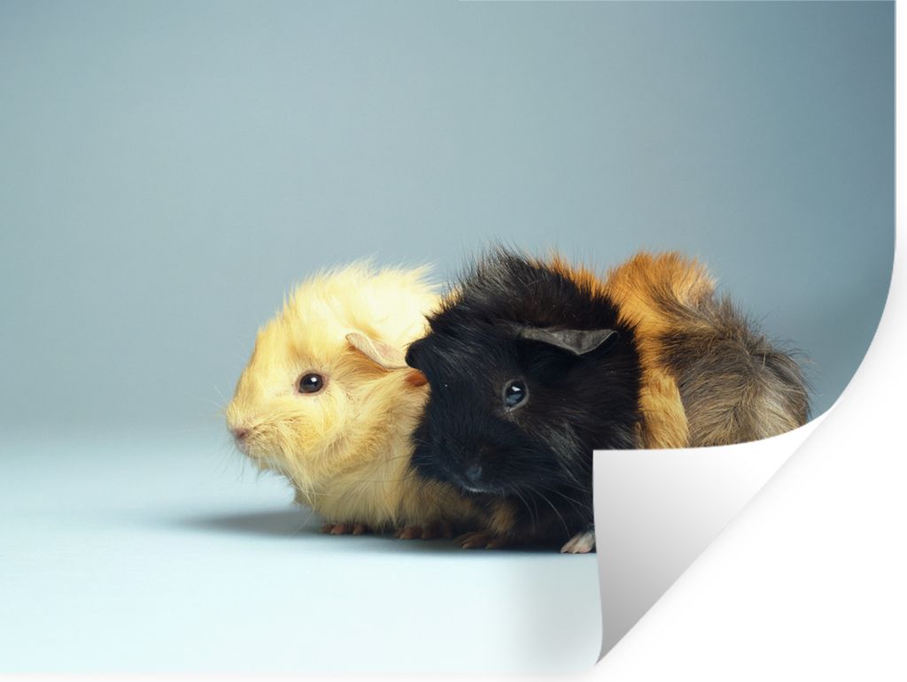 MuchoWow - Faltenfrei