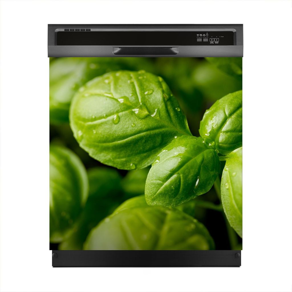 Aufkleber sticker 60x60 cm Dekorative folie Spülmaschine - Genovese Basilikum Blätter