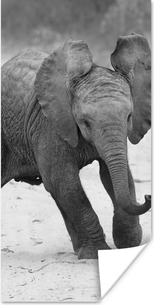 MuchoWow Poster Baby-Elefant, der im Sand spazieren geht, in Schwarz und Weiß 60x120 cm - Wandschmuck
