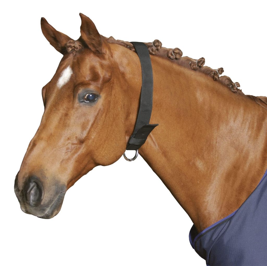 Cinghia da collo Kerbl per cavalli larga 5 cm Immagine del prodotto 