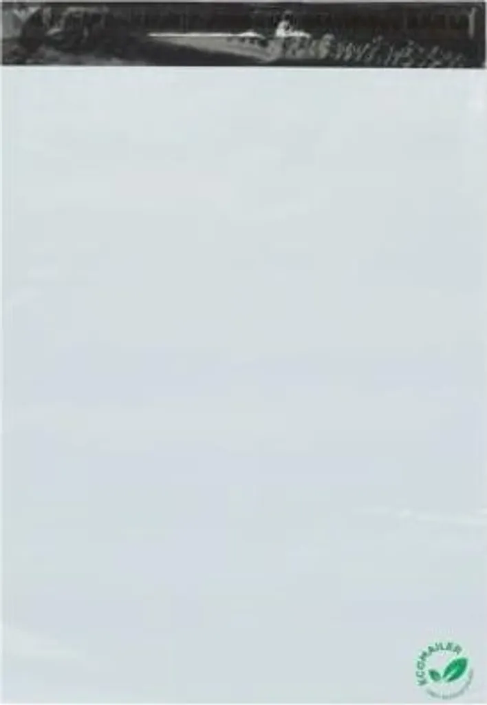 Sac de Courrier FB07B 450x550mm Opaque et Indéchirable - 100 pcs