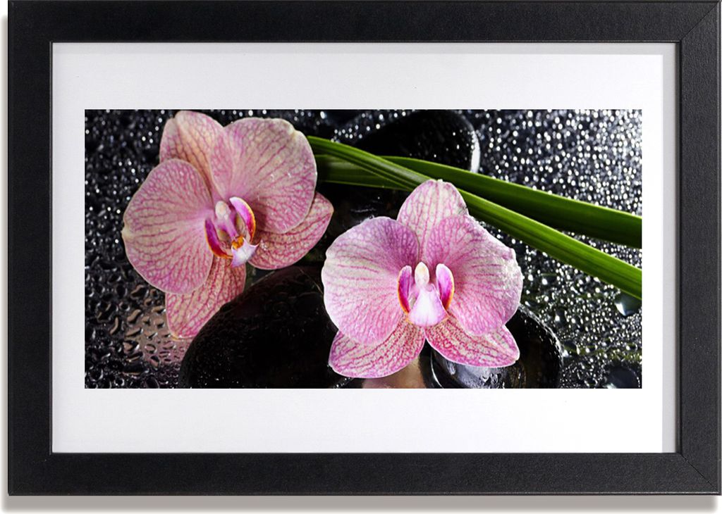 Bild 30x20 MDF-Rahmen Wandkunst Orchid Blumen Orchid Zen