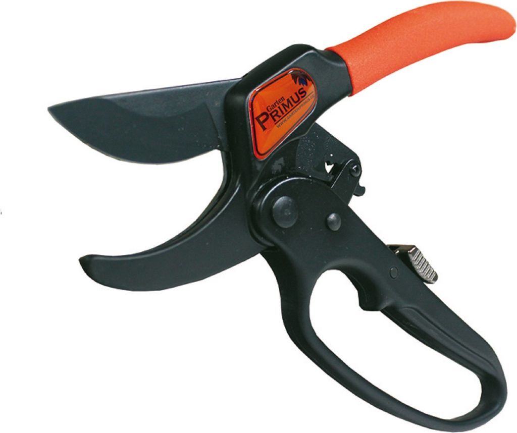 GARTEN PRIMUS Ratschenschere Produktbild 