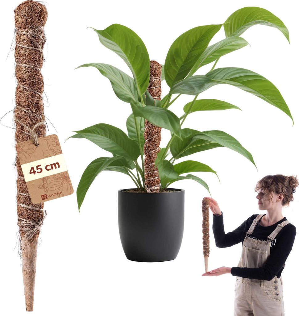 KADAX Pflanzstab aus Holz und Kokosnuss, 45 cm